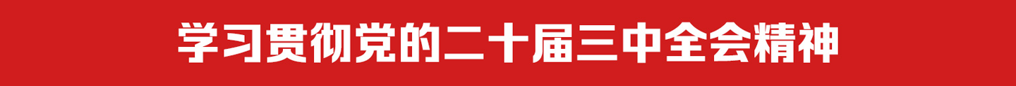 学习贯彻党的二十届三中全会